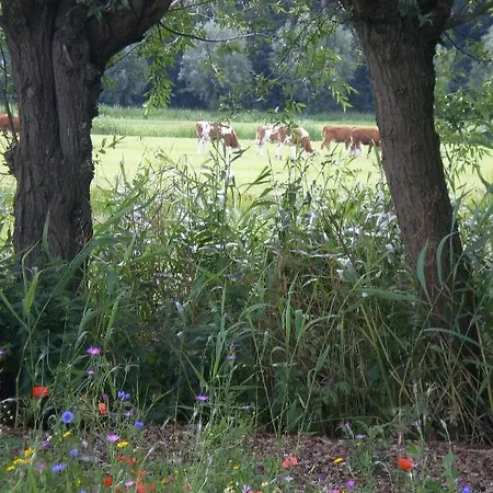 Apartmán De Bieslandse Heerlijkheid
