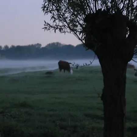 De Bieslandse Heerlijkheid Lejlighed Delft