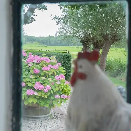 De Bieslandse Heerlijkheid Apartmán