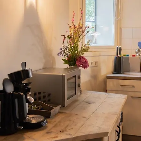 De Bieslandse Heerlijkheid Apartmán