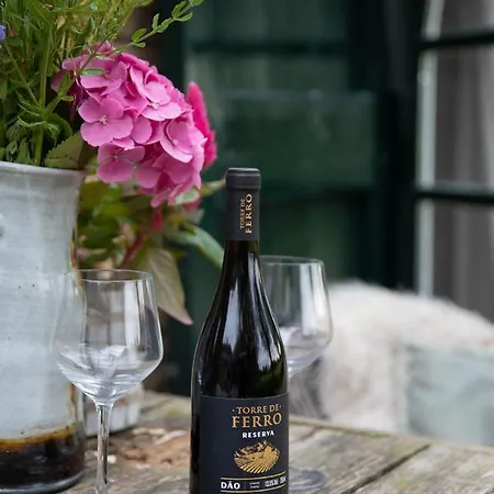 De Bieslandse Heerlijkheid Lejlighed *