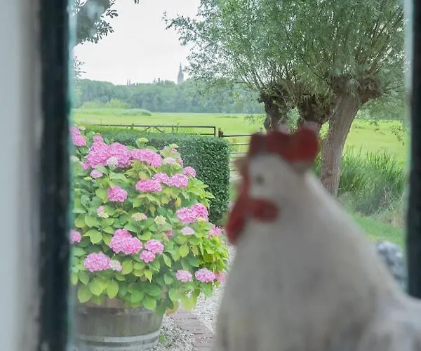 De Bieslandse Heerlijkheid Lägenhet