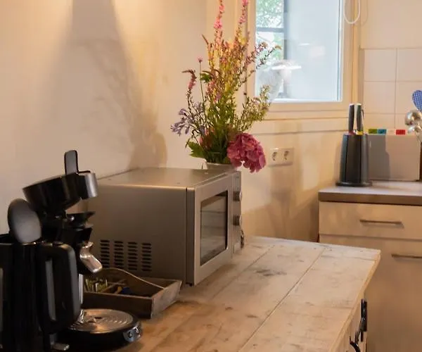 De Bieslandse Heerlijkheid Apartament