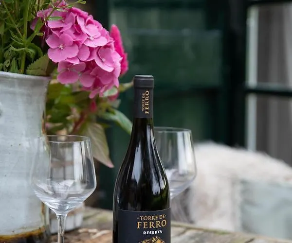 De Bieslandse Heerlijkheid Lägenhet *