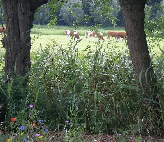 Lejlighed De Bieslandse Heerlijkheid