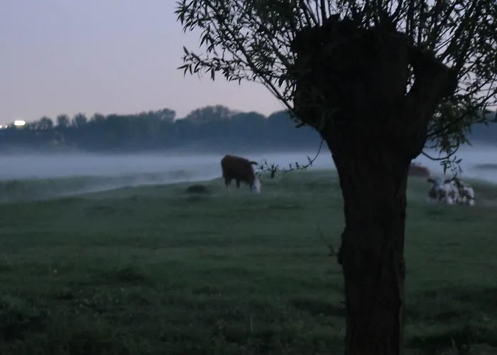 De Bieslandse Heerlijkheid Lejlighed Delft